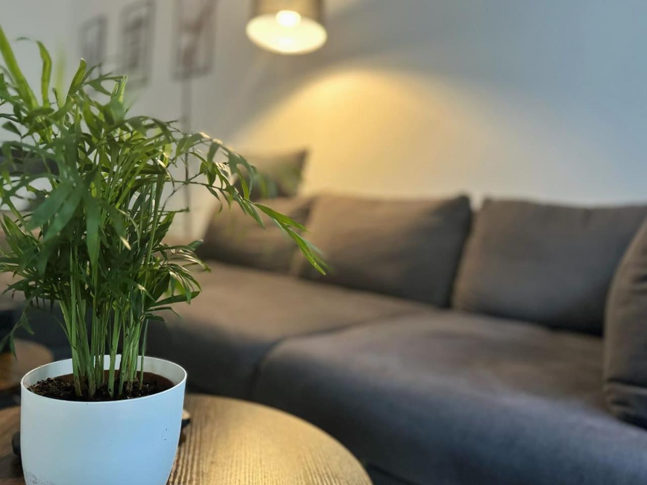 Apartment I Design In Heart Of Berlin-friedrichshain Berlin